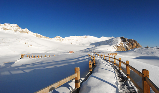 达古冰山旅游